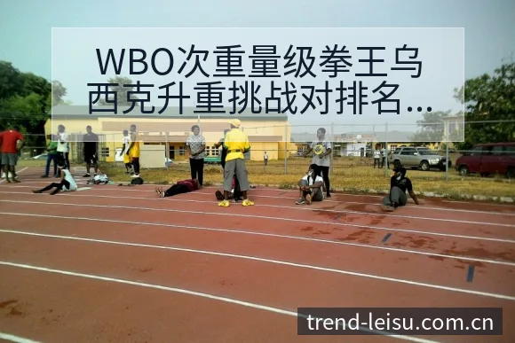 WBO次重量级拳王乌西克升重挑战对排名格局的影响分析 - 雷速官方网址
